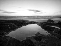 Tide Pool
