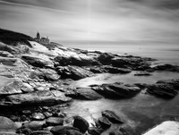 Beavertail