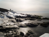 Beavertail 2