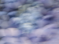 untitled 1