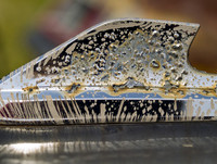 Tailfin