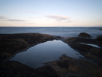 Tide Pool
