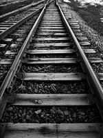 Winter Tracks