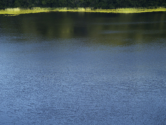Long Pond
