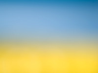 untitled 3