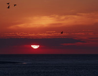 Second Sunrise
