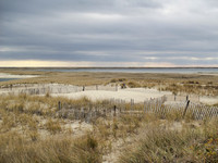 Cape Cod