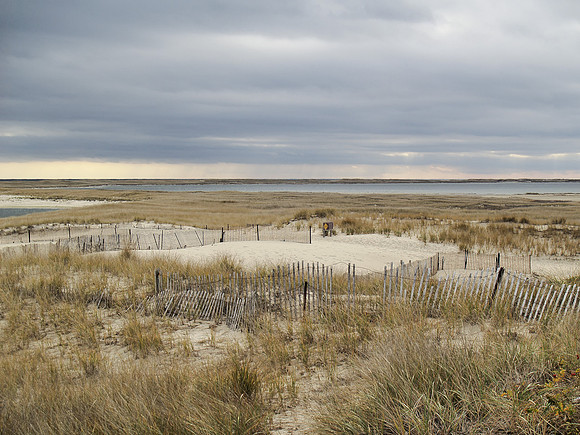 Cape Cod